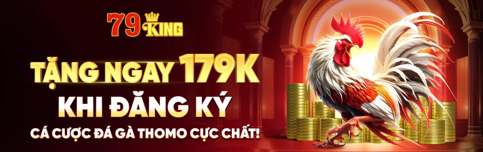 Banner dịch vụ hỗ trợ 79King